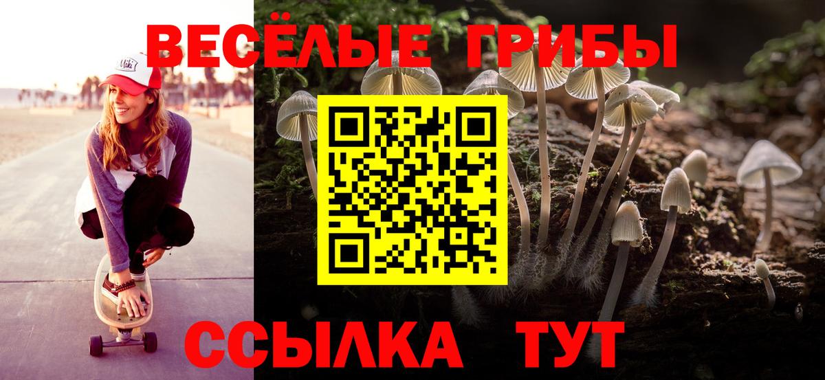 Галлюциногенные грибы прущие грибы Кудрово